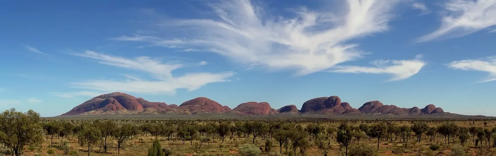 The domes of Kata Tjuta seen from the air, with dune country running to the horizon